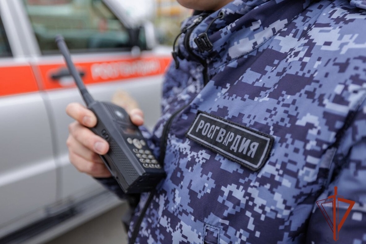 В Новосибирске патруль вневедомственной охраны Росгвардии задержал подозреваемого в краже