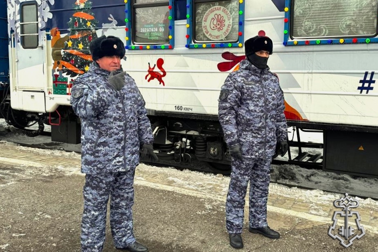 Росгвардия обеспечила безопасность масштабного новогоднего мероприятия