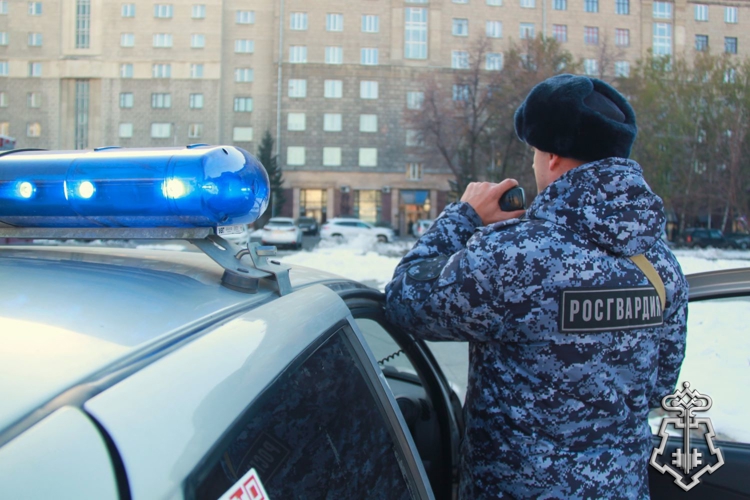 Патруль Росгвардии задержал по приметам подозреваемого в краже одежды из магазина (видео)