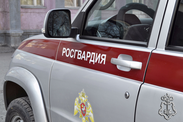 Экипажем вневедомственной охраны Росгвардии задержан подозреваемый в грабеже