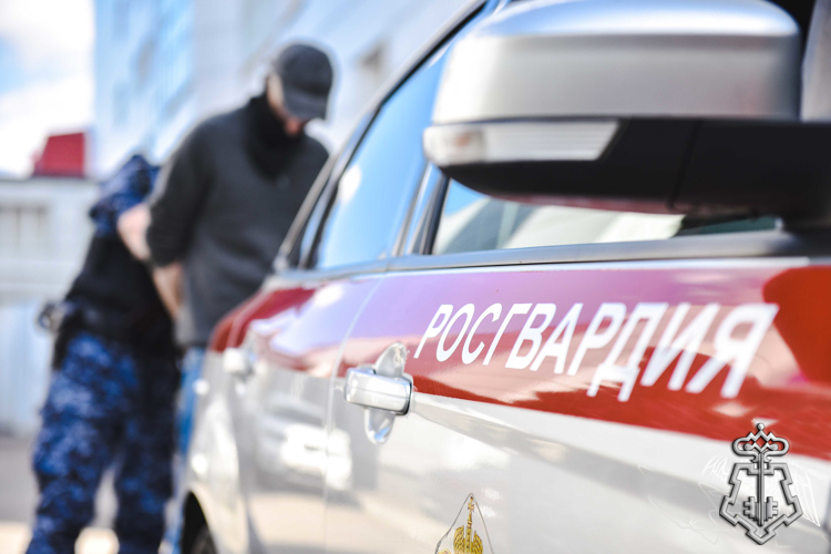 За серию хищений экипажем вневедомственной охраны Росгвардии задержан ранее судимый новосибирец