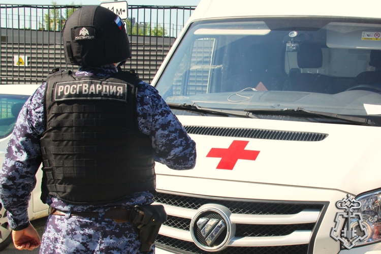 Сотрудники вневедомственной охраны Росгвардии оказали помощь пострадавшей в дорожном происшествии