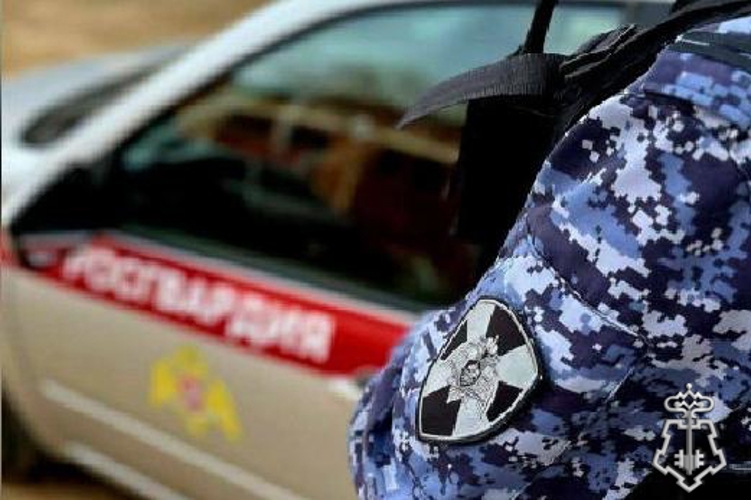 Экипаж Росгвардии задержал мужчину, повредившего припаркованный автомобиль