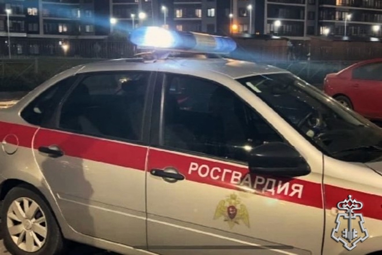 Сотрудниками вневедомственной охраны Росгвардии за повреждение чужого имущества задержаны двое граждан
